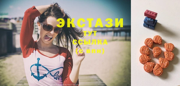ECSTASY Алзамай