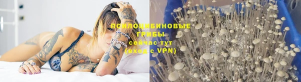 ECSTASY Алзамай