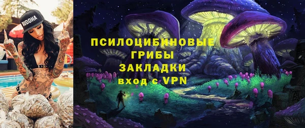 МДПВ Алексин