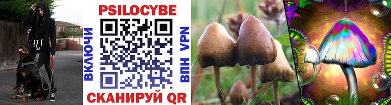 Псилоцибиновые грибы мухоморы  Йошкар-Ола 